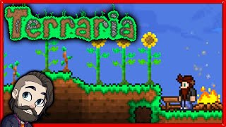 Can The Wall Of Flesh Get INCREDIBLY SMALL In Terraria [upl. by Assena906]