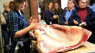 Beef Breakdown Workshop Butchering a Forequarter Cow [upl. by Oznole]