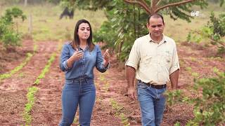 Videoaula  Sistemas Agroflorestais SAFs  Módulo 1 [upl. by Jotham]