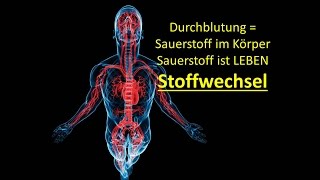 Wie funktioniert der Stoffwechsel  Einfach erklärt [upl. by Yeltihw]