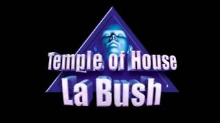 La Bush Music From The Temple Of House Vol2 1996 mixed by DJ Georges [upl. by Korey407]