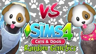 The Sims 4 Random Genetics DOG Challenge VS Yammy [upl. by Dian921]