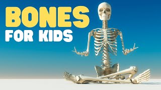 Bones for Kids  Learn about the Skeletal System for Kids [upl. by Inverson]