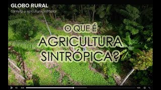 O que é Agricultura Sintrópica  Globo Rural  Fazenda Ouro Fino [upl. by Brockwell]