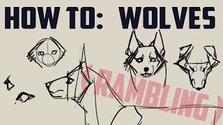 How to draw wolves basics me rambling [upl. by Ginnie669]