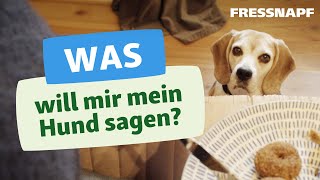 Körpersprache beim Hund  Hunde richtig verstehen [upl. by Suoicerpal183]