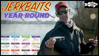 5 Jerkbait Fishing Tips for YearRound Success [upl. by Charteris324]