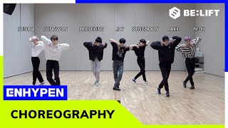 ENHYPEN 엔하이픈 ‘DrunkDazed’ Dance Practice [upl. by Ylloj]