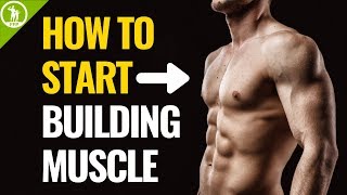 How To Start Building Muscle For Beginners [upl. by Leva772]