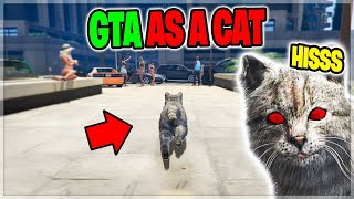 KILLER CAT Takes Over Entire City on GTA 5 RP [upl. by Oretna]