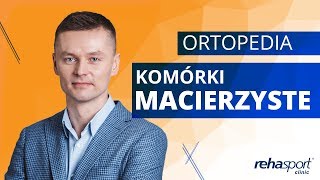 Komórki macierzyste  Lipogems [upl. by Aihsein]