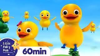 Five Little Ducks More Nursery Rhymes and Kids Songs  Little Baby Bum [upl. by Fanchette]