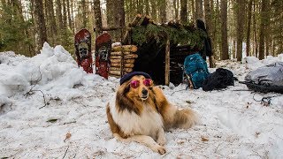 Overnight Camping at My Bushcraft Shelter in the Snow [upl. by Clifford]