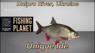 Unique Ide Dnipro River Ukraine Fishing Planet Guide [upl. by Kreda645]