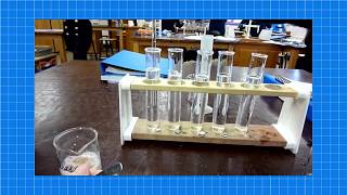 A level Biology ENZYMES REQUIRED PRACTICAL [upl. by Schramke30]