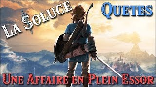 UNE AFFAIRE EN PLEIN ESSOR  QUETES  ZELDA BOTW [upl. by Nibaj126]