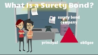 What Is a Surety Bond [upl. by Iak297]