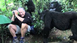 Extraordinary Encounter with Mountain Gorillas in Bwindi Uganda [upl. by Gerladina337]