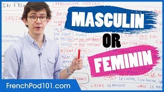 Gender of French Words Masculin vs Feminin [upl. by Yrallih]