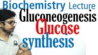 Gluconeogenesis pathway biochemistry [upl. by Kyriako532]