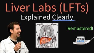 What is SGPT Blood Test   Liver Function Test  8 Minute Simple Explanation [upl. by Odragde]