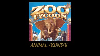 Zoo Tycoon 1 Base game All Animal Sound Effects [upl. by Anaujit954]