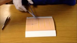 Basic Suturing Techniques [upl. by Casimire667]