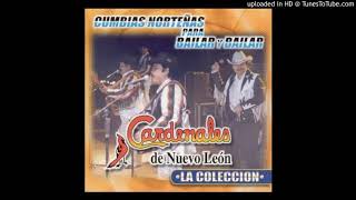 Cardenales de Nuevo LeonCumbias mixDJ Mayo [upl. by Tertia]