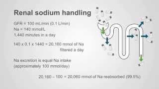 Understanding Diuretics Key Principles amp Philosophy [upl. by Sirrah]