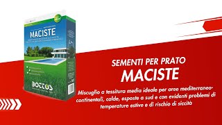 SEMENTI PER PRATO  Maciste a base di Festuca arundinacea [upl. by Johannah]