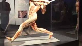 Present  Body Worlds 2 and the Three Pound Gem [upl. by Johanan]