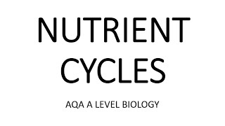 NUTRIENT CYCLES  AQA A LEVEL BIOLOGY  EXAM QUESTIONS RUN THROUGH [upl. by Toffic972]