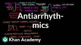 Antiarrhythmics  Circulatory System and Disease  NCLEXRN  Khan Academy [upl. by Alesiram]