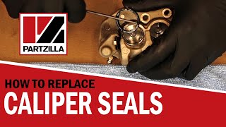 How to Replace Brake Caliper Seals  Brake Caliper Rebuild  Caliper Piston Seal Replacement [upl. by Phebe921]