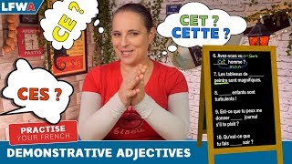 Practise your French demonstrative adjectives CE CET CETTE CES [upl. by Irik35]