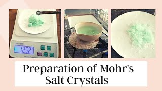 Mohrs Salt Crystal Preparation Chemistry Practical Class 12th  CBSE 2021  Bhatia mam Classes [upl. by Ihcehcu199]