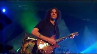 Ozric Tentacles  Live Sunrise Festival DVD 2007 [upl. by Hinson]