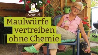 Maulwurf vertreiben ohne Chemie mit Hausmitteln [upl. by Umont348]