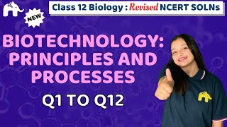 Biotechnology  Principles and Processes Class 12 Biology  Revised NCERT  Chapter 9 Questions 112 [upl. by Phenica485]