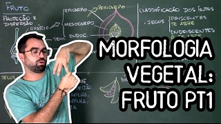 Organologia do Fruto Morfologia pt1  Aula 20 Botânica Prof Guilherme [upl. by Munshi]