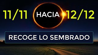 PORTAL 1212 Continuidad del 1111 RECOGE LO SEMBRADO🙏 [upl. by Itirahc791]