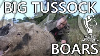 Big Tussock Boars Full Film HD [upl. by Hainahpez]