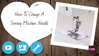 How to Change a Sewing Machine Needle  Hobbycraft [upl. by Asirehc]