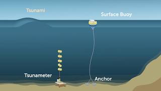 Australias tsunami detection system [upl. by Sair]