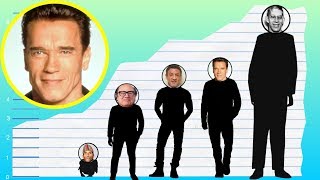 How Tall Is Arnold Schwarzenegger  Height Comparison [upl. by Candice714]