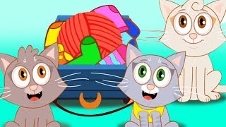 drei kleine Katzen  Katzenlied  Kinderlieder in Deutsch [upl. by Kleinstein]