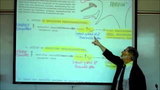 SYNAPTIC TRANSMISSION IN THE CNS PART 1 by Professor Fink [upl. by Accemahs]