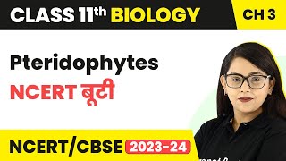 Pteridophytes  NCERT बूटी  Plant Kingdom  Class 11 Biology Chapter 3  NCERTCBSE [upl. by Standing]