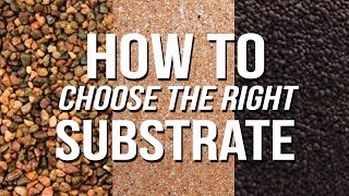 HOW TO Choose an Aquarium Substrate [upl. by Bonns]