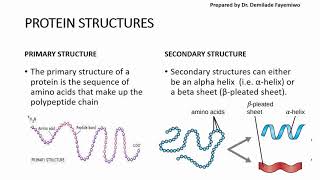 Chapter 23 Biological Molecules  Proteins [upl. by Oirasan]